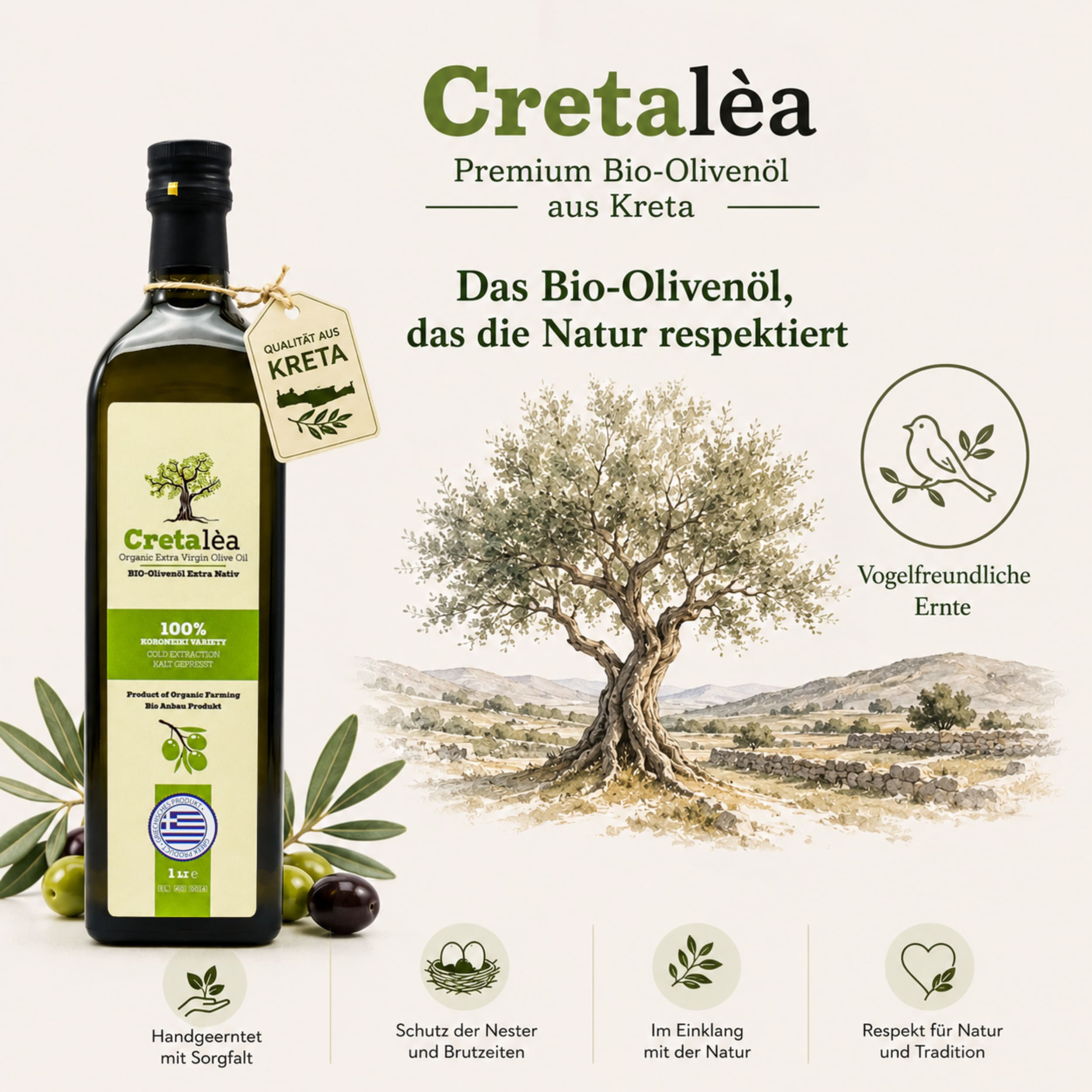 Olivenöl Extra Nativ BIO aus Kreta, Griechenland 1 Liter Flasche - Cretalea - Neue Ernte – Bild 5