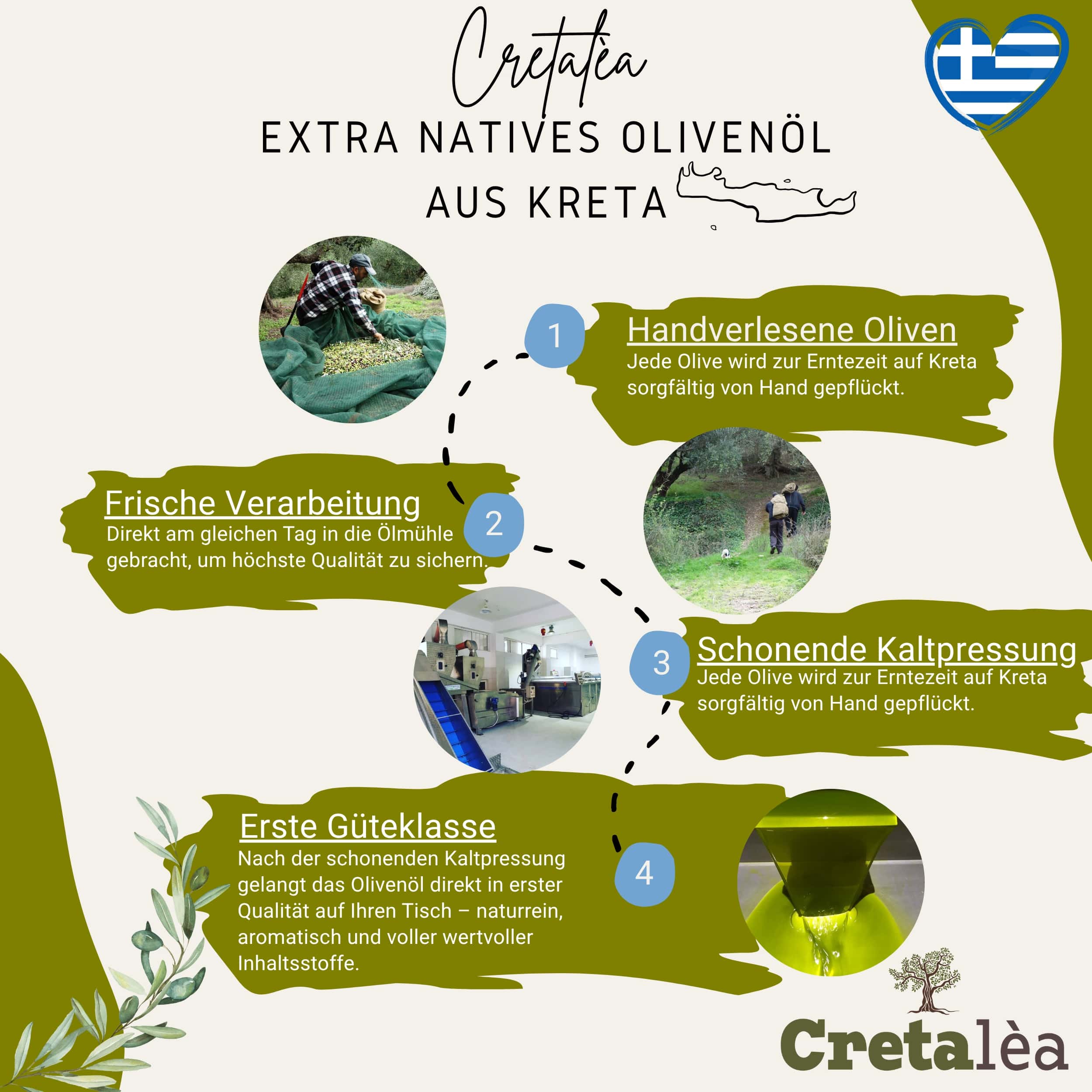 Cretalea Olivenöl - Natives Olivenöl Extra aus Kreta - 3L-Kanister - traditionelle Handernte - Kaltextraktion – Bild 2