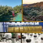 Pathos – Premium Bio Extra Natives Olivenöl aus Kreta – 500 ml – ideal zum Verschenken