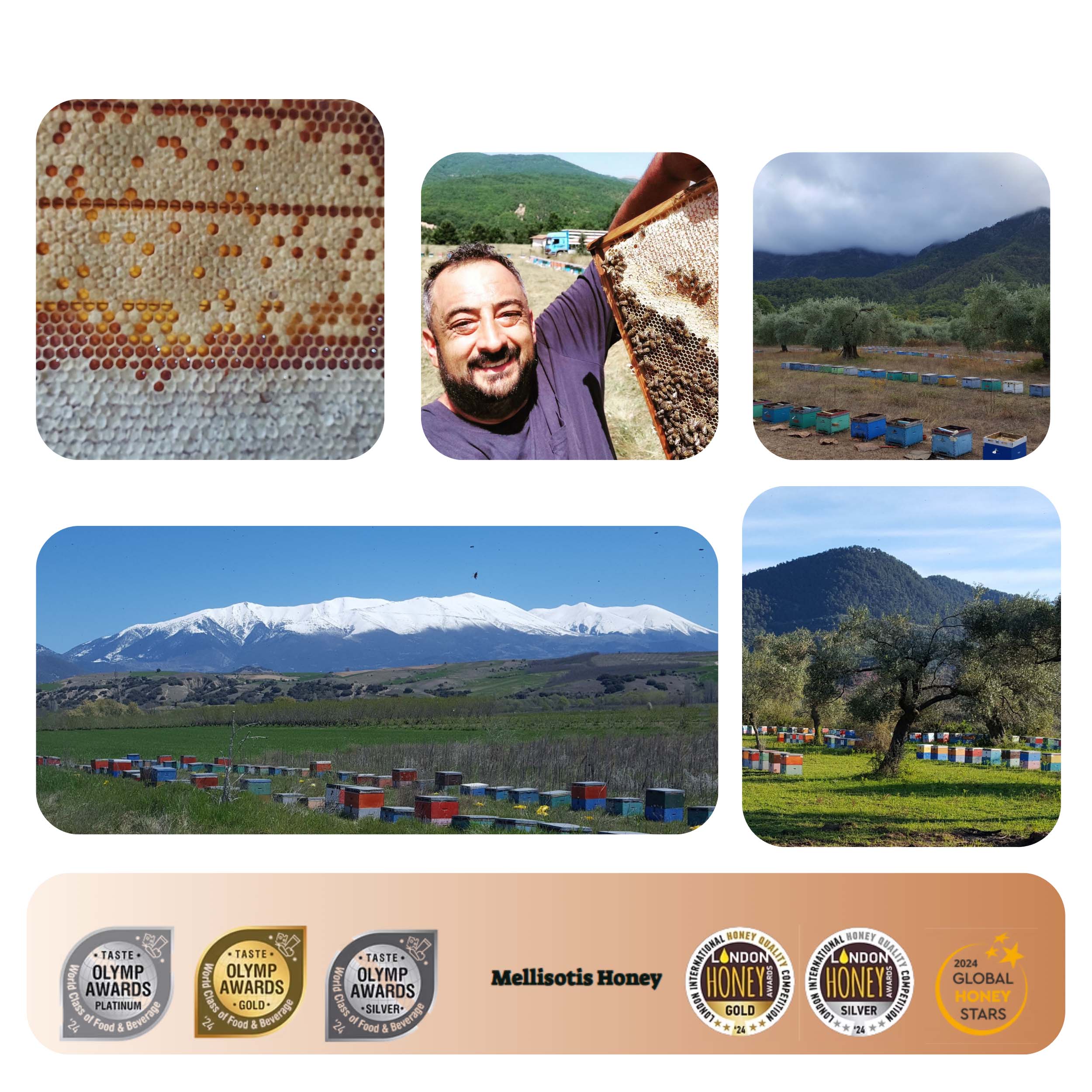 Olivenöl 5 Liter Bio - Extra Nativ aus Kreta, Griechenland - Cretalèa - Neue Ernte, erste Güteklasse + 1x Honig nach Wahl – Bild 18